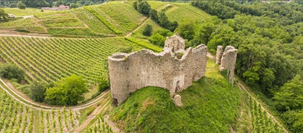 Carnet de voyage de notre sommelier